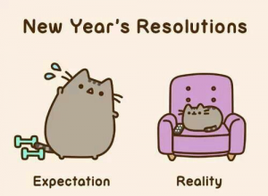 pusheen-new-year-resolutions-500 - WebCEO SEO Blog