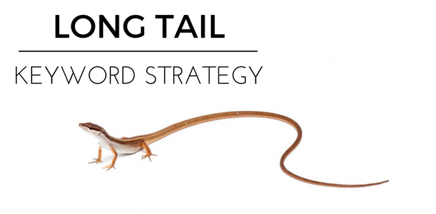 Лонг тейл. The long Tail. Длинный хвост трафик. Tail keywords. Dewback, long Tail.